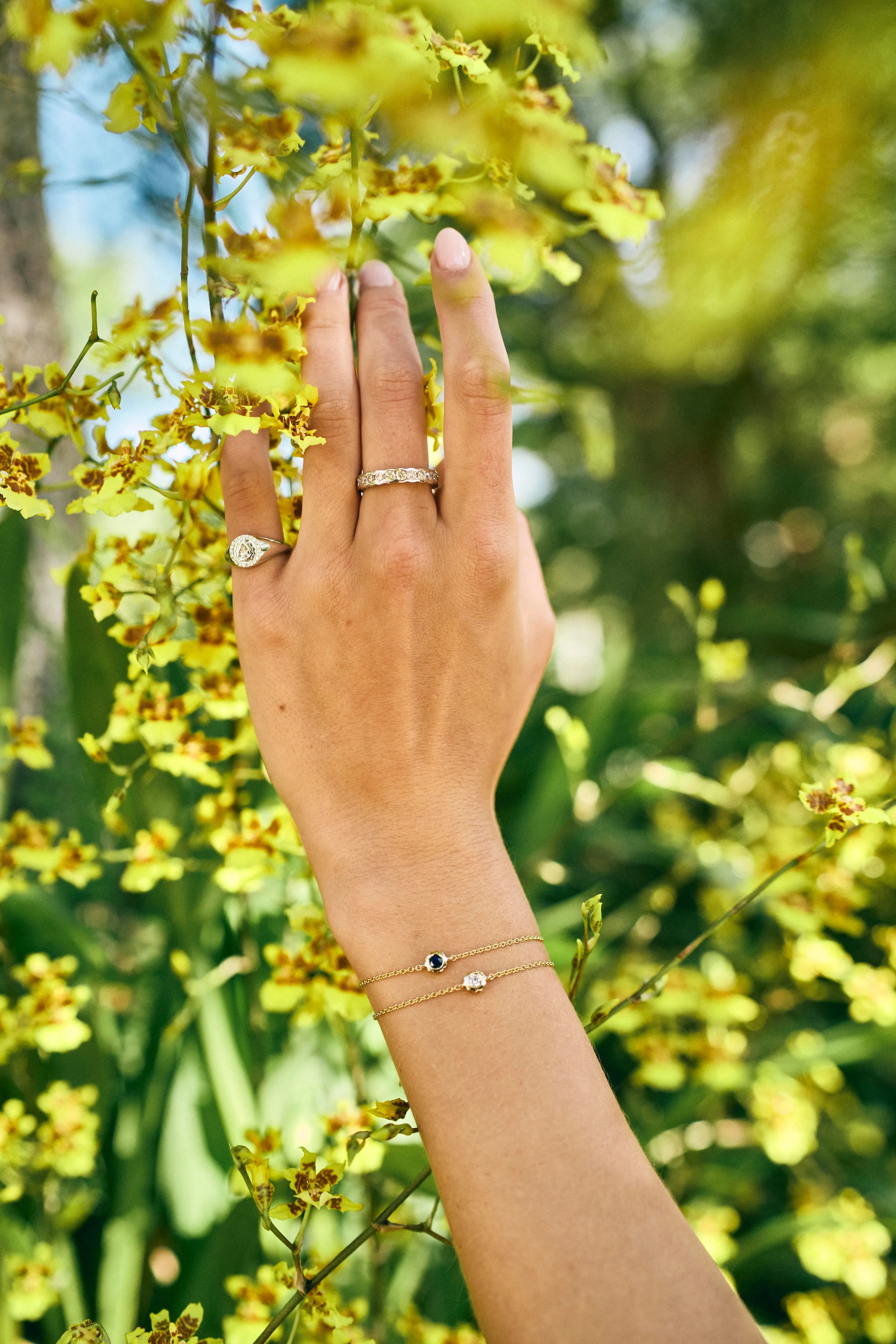 Scalloped Bezel Diamond Bracelet