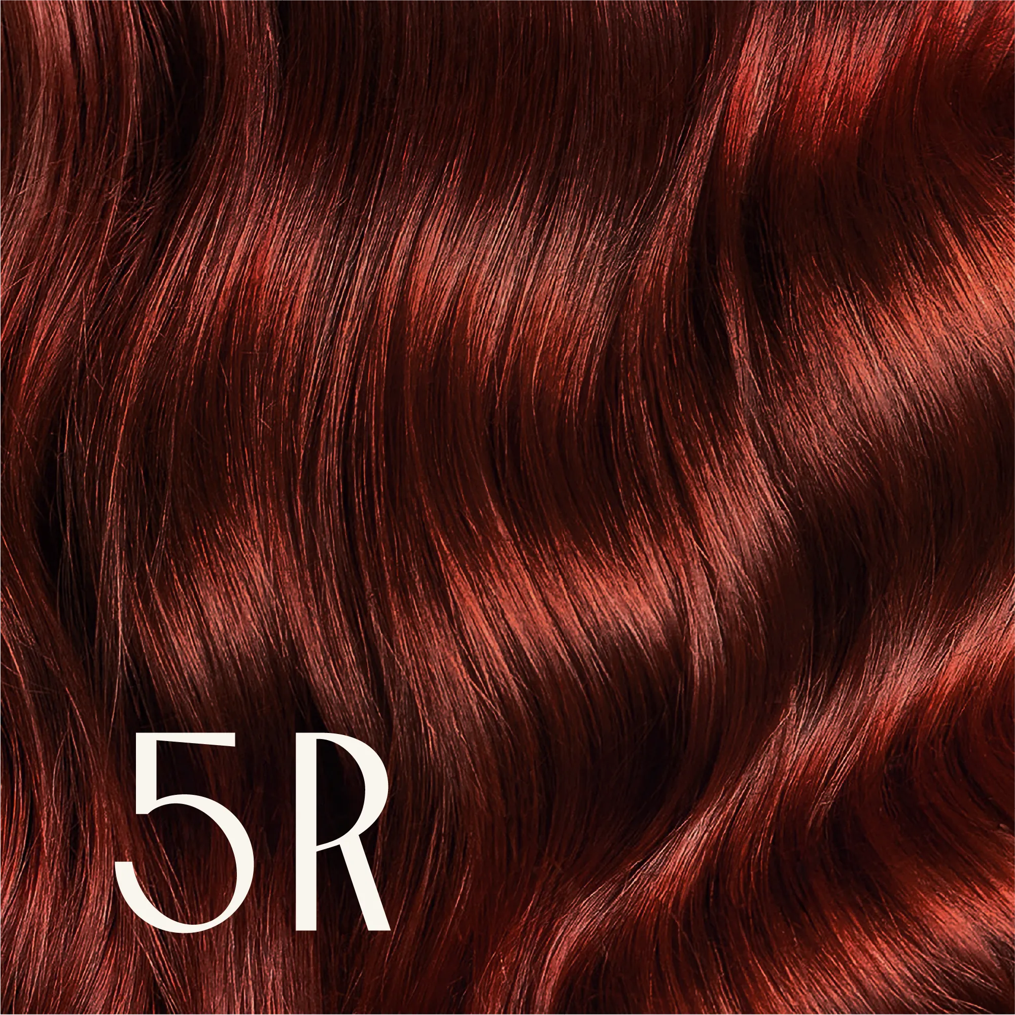 True Color Shades
