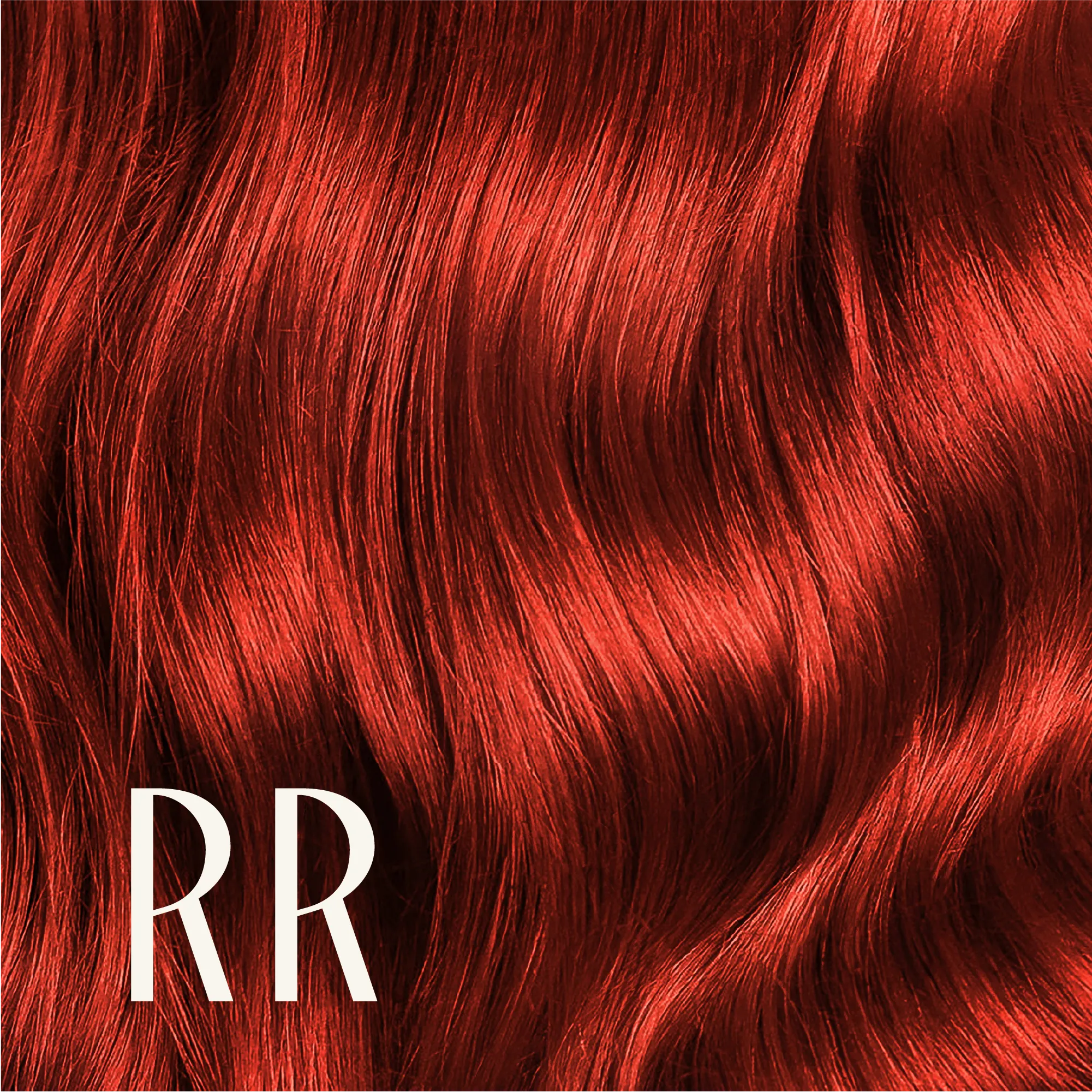 True Color Shades