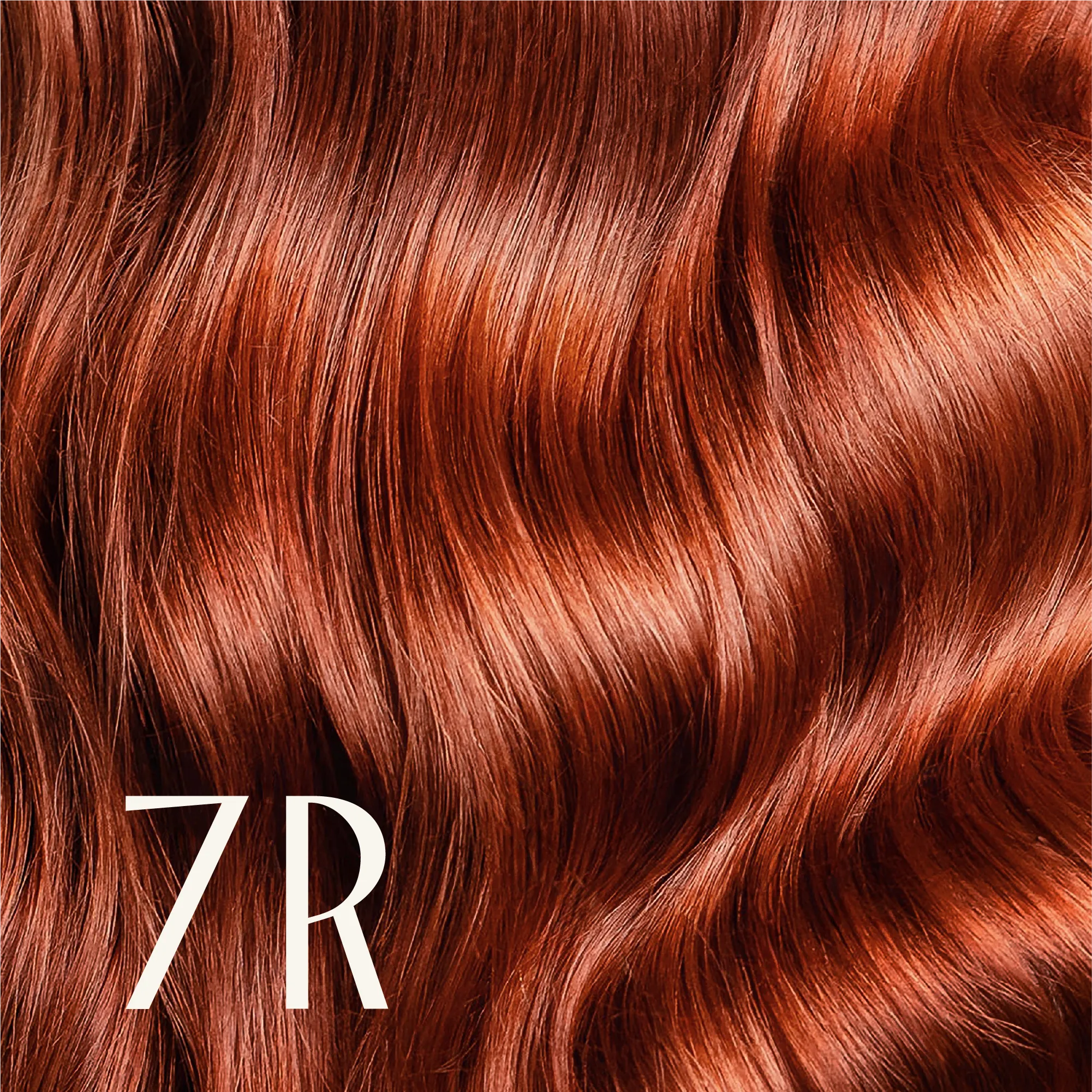 True Color Shades