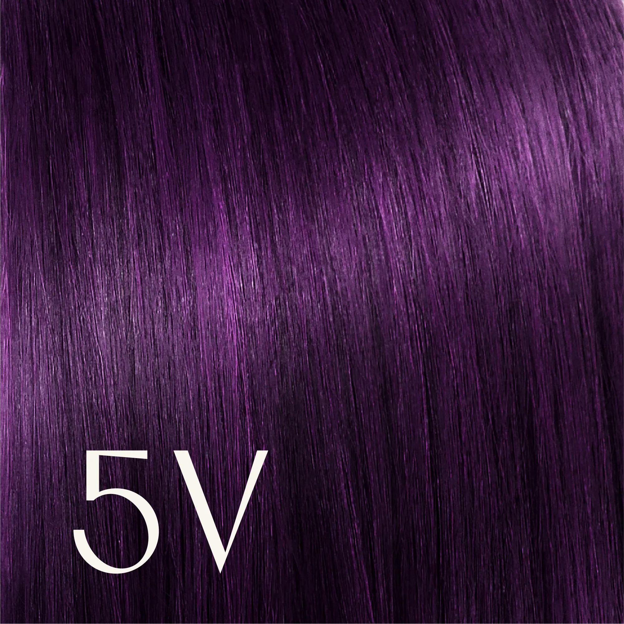 True Color Shades