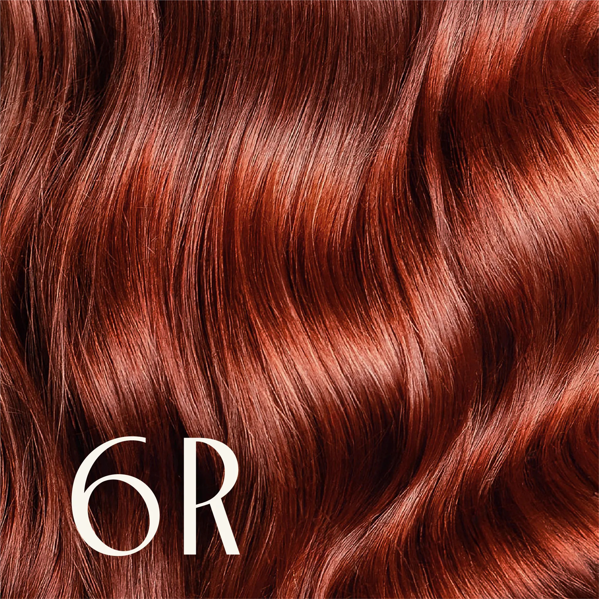 True Color Shades